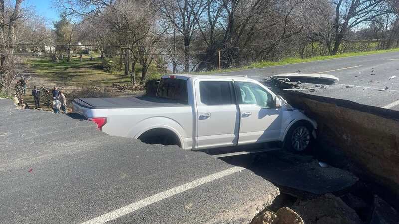 The trunk crashed down into the sinkhole just days after a car did (Image: Facebook)