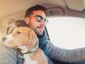 Pet owners driving with dogs face £5,000 fine if they break these rules