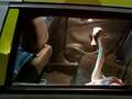 Police recreate Hot Fuzz by 'arresting' swan and taking it away in back of car qhxidiqxkiqrtinv