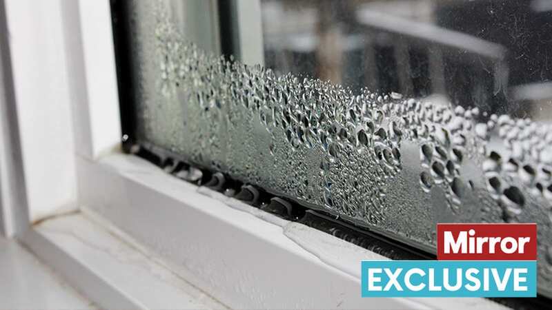The expert explained how to conduct the window test (stock photo) (Image: Getty Images/iStockphoto)
