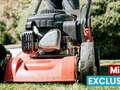 Gardener stalks his ex-partner by turning up uninvited to mow her lawn qhiqquiqxkidrhinv