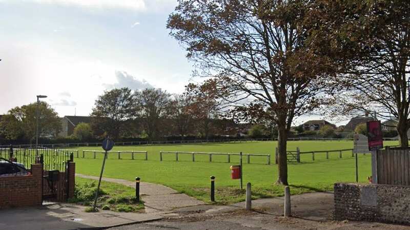 A 24-year-old football fan was left with serious facial injuries following the incident (Image: Google)