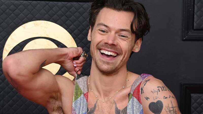 Harry Styles turned heads on the red carpet (Image: David Fisher/REX/Shutterstock)