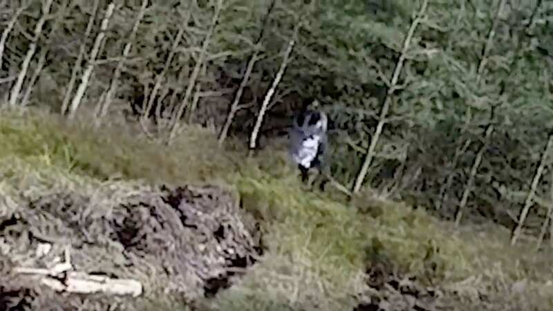 Footage captured at Cannock Chase has people believing it could be the ghost that is said to haunt the area (Image: YouTube/FuriousOtter)