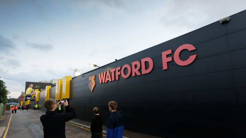 Watford leading the way off the pitch on Green Football Weekend by adding bees