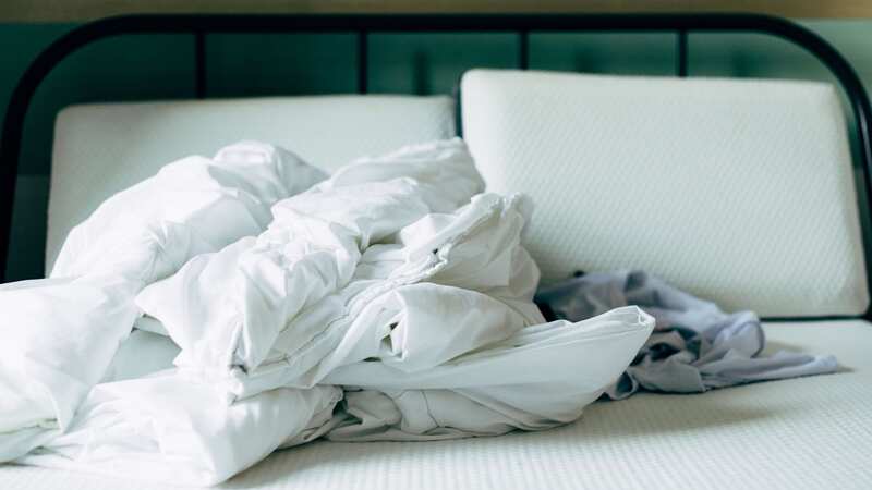 Bed bugs are hard to spot but leave behind a number of tell-tale signs (stock photo) (Image: Getty Images)