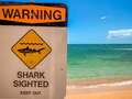 World's shark attack hotspot saw 16 people bitten last year alone