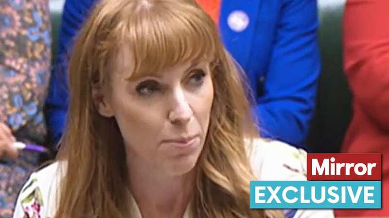 Angela Rayner accused the Tories of “abandoning workers” (Image: James McCauley/REX/Shutterstock)