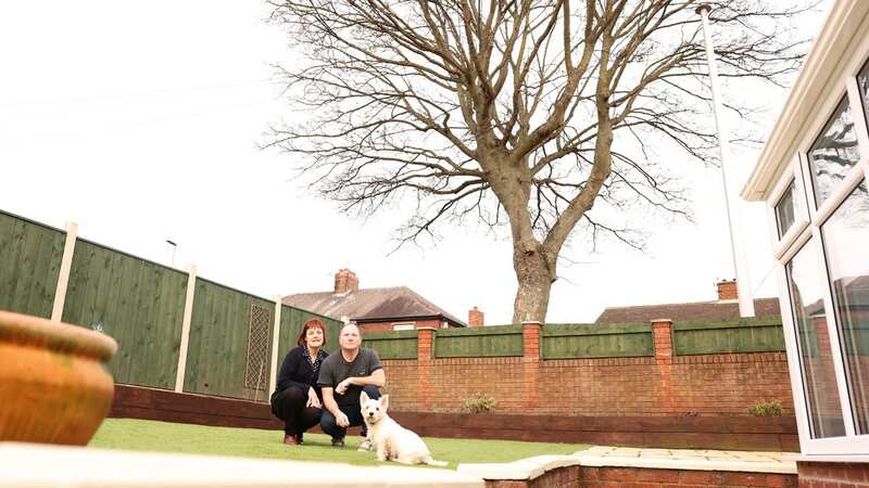 Susan and David Riley say they are willing to pay for someone to chop the tree back (Image: Newcastle Chronicle)