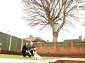 Couple slams council for refusing to cut back tree 'ruining' their garden