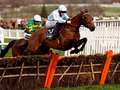 Honeysuckle to swerve Champion Hurdle to bow out in the Mares' Hurdle