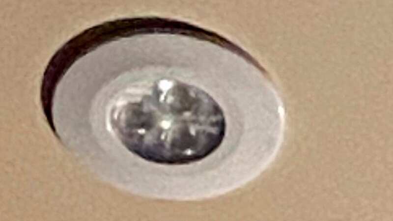 A woman believes she has spotted the perfect likeness of William Shakespeare in her ceiling light (Image: SWNS)