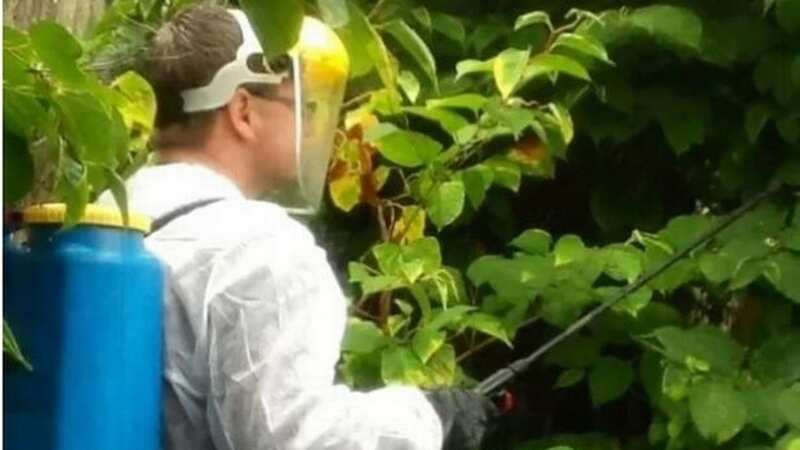 Jason Harker in a full hazmat suit spraying a plant with chemicals (Image: Japanese Knotweed Expert/BPM)