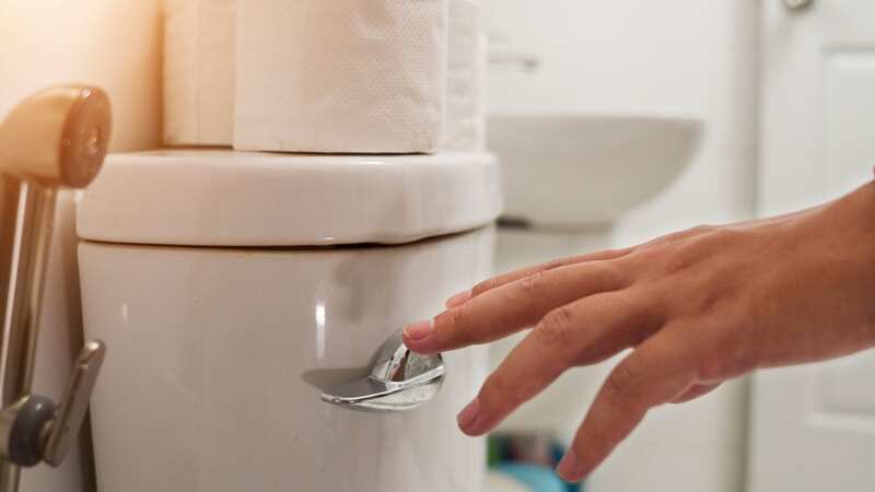 He claims he does not flush due to the environment (stock photo) (Image: Getty Images)
