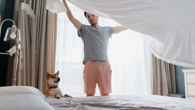 This will get your sheets bright white again (stock photo) (Image: Getty Images/EyeEm)