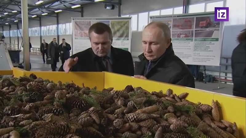 Vladimir Putin during his visit to sanctions-hit Ustyansk timber complex in northern Russia (Image: Iz.ru/east2west news)