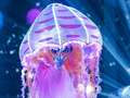 Masked Singer fans certain Jellyfish is huge soul singer after major name clue