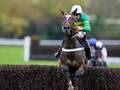 Jonbon demoted from Arkle Chase favouritism by El Fabiolo after hard-fought win