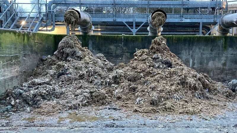 Seven Trent has shared photos of skips full of revolting waste caused by people flushing wipes down the loo (Image: Severn Trent)