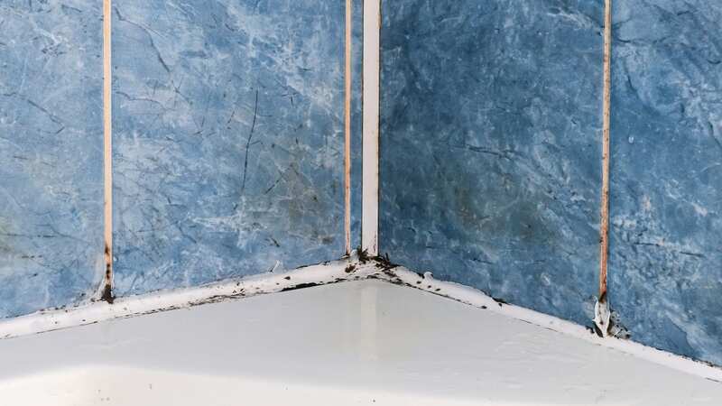 Mould can be a real nightmare to clean (stock photo) (Image: Getty Images/iStockphoto)