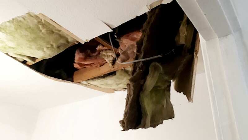 The ceiling fell in (Image: Sophie Kiley / SWNS)
