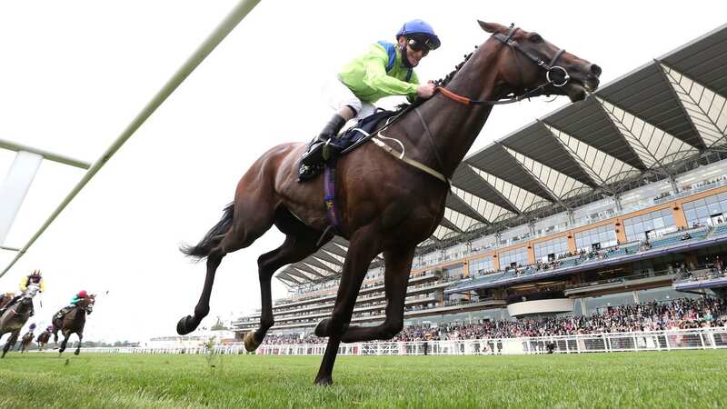 2021 Ascot Gold Cup winner Subjectivist will return from a 605-day absence in Saudi Arabia (Image: PA)