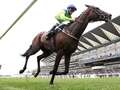 Gold Cup winner ready to reclaim world's best stayer crown after 605-day absence qhiqquiqkdiqeqinv