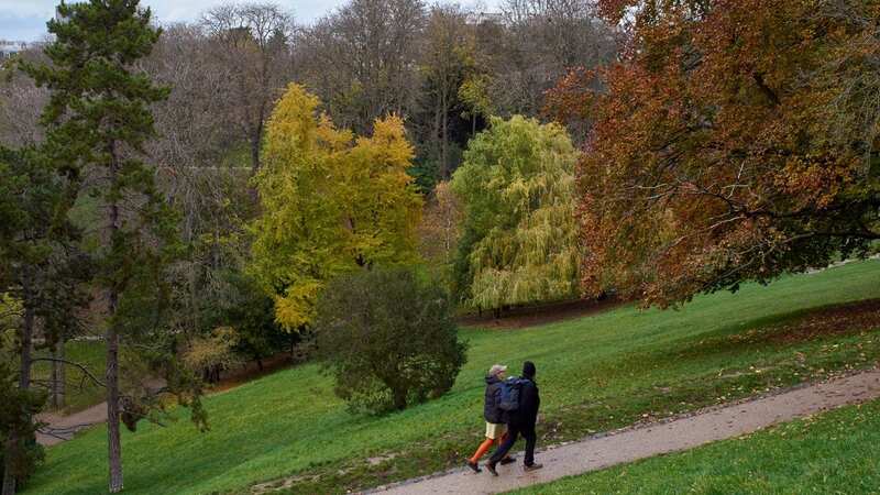 The remains of a woman were found in the Parc des Buttes Chaumont in the 19th Arrondisement of Paris today (Image: Remon Haazen/REX/Shutterstock)