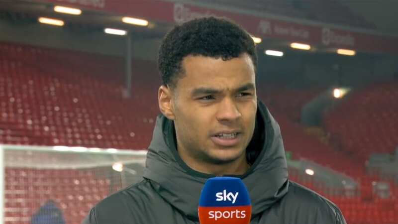 Cody Gakpo sends warning to Premier League after heeding Virgil van Dijk message