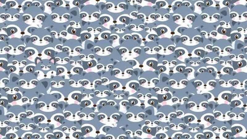 See if you can find him in five seconds (Image: Brightside)