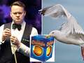 Snooker ace Shaun Murphy says seagull stole Terry's Chocolate Orange from hotel eiqrdidzzidedinv