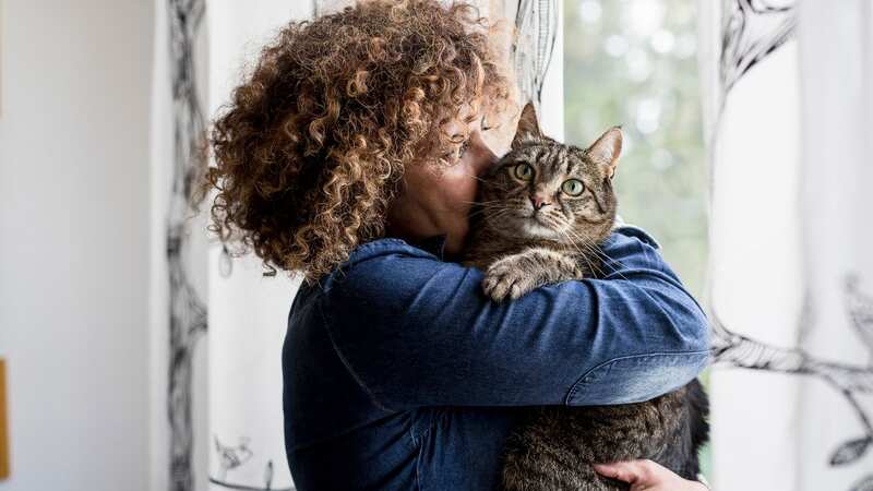 The man wants his girlfriend to ditch her cat (stock photo) (Image: Getty Images/Westend61)