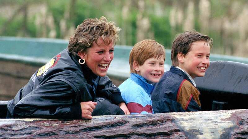 Diana, Princess of Wales loved to take her sons on normal days out (Image: UK Press via Getty Images)