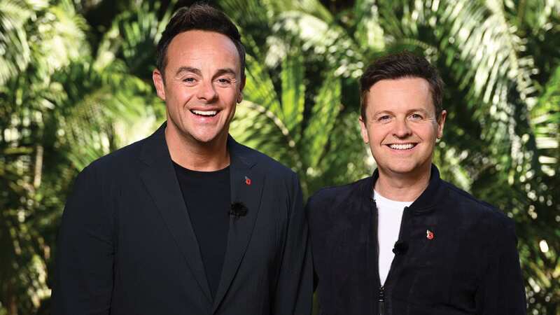 Ant and Dec hint at backstage 