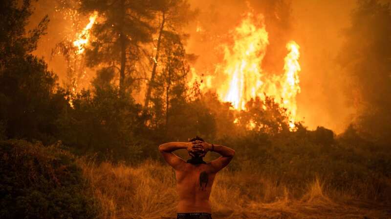 A resident looks on during forest fires in Greece (Image: AFP via Getty Images)