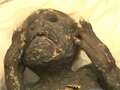 Mystery of chilling mummified mermaid worshipped for powers solved after 300 yrs