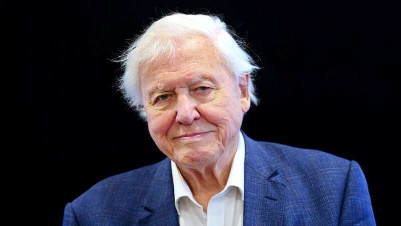 David Attenborough admits biggest regret of his 69 year career is working abroad