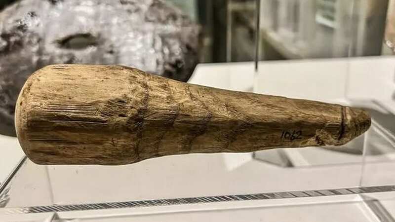 The 2,000-year-old Roman dildo (Image: Newcastle University)