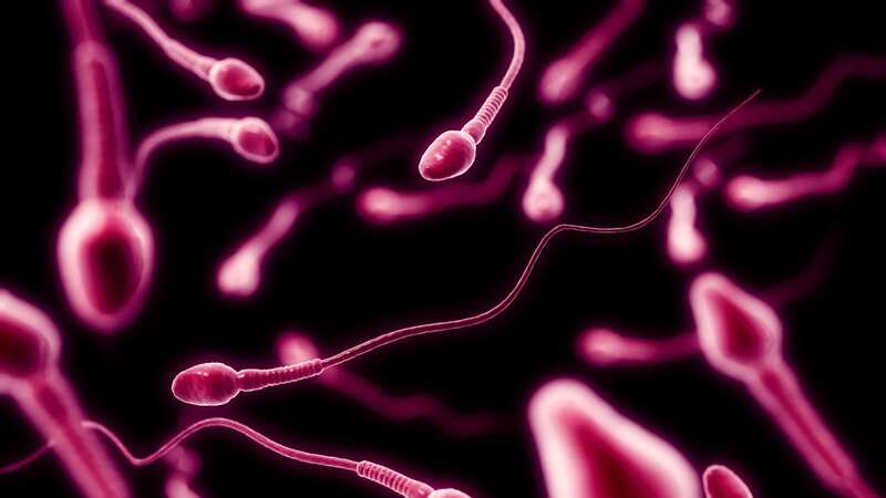 Just over one in 10 sperm donors failed a screening questionnaire about their lifestyle (Image: Getty Images/Collection Mix: Subjects RM)