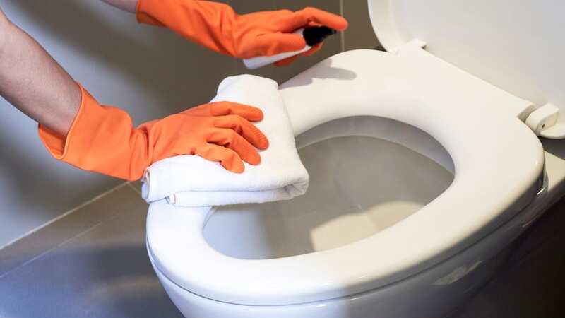 Nobody wants a stained toilet seat (stock photo) (Image: Getty Images/EyeEm)
