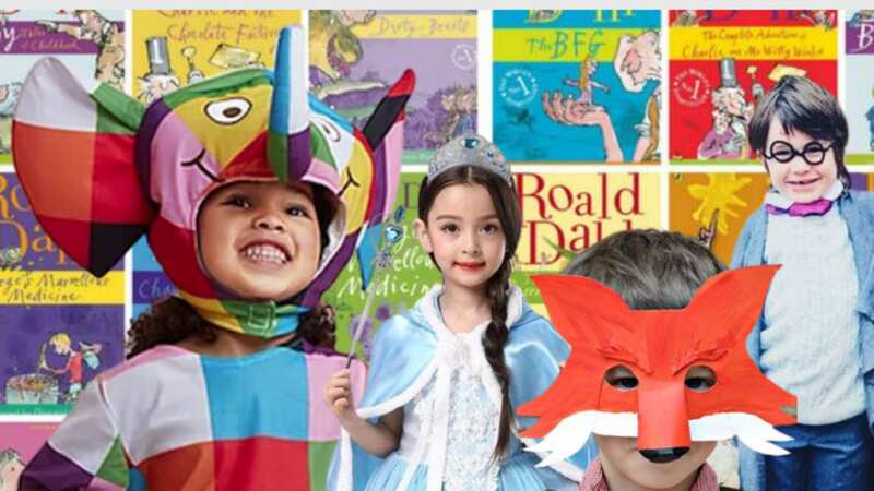 Save yourself the hassle and buy your World Book Day costume online today