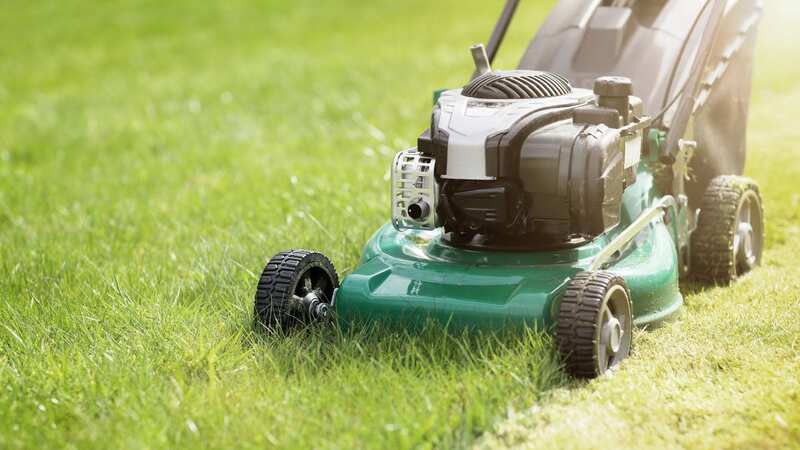 A gardening expert has given tips on how to banish weeds without ruining your lawn (Image: Getty Images/iStockphoto)
