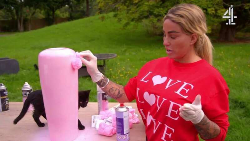 Katie Price’s Mucky Mansion viewer alerts RSPCA after she 