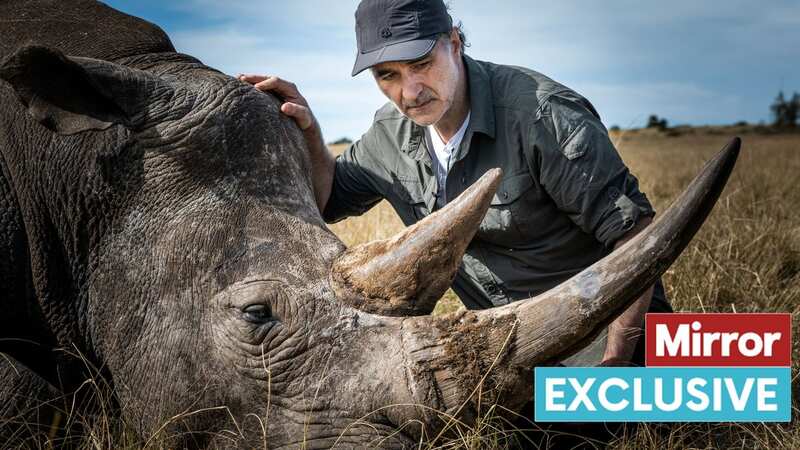 The Irish vet, who is at the forefront of innovation in orthopaedics and neurosurgery for small animals in the UK, uses his expertise to care for wildlife in South Africa (Image: Channel 4)