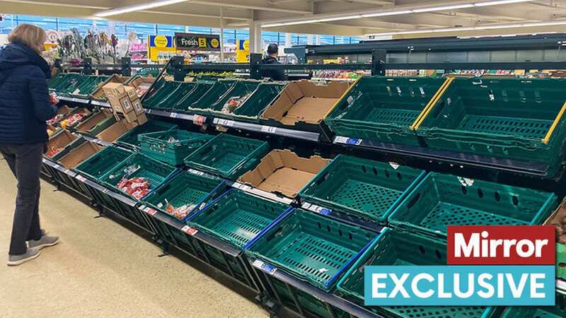 Empty tomato, cucumber and peppers trays at Tesco in Birmingham (Image: SWNS)