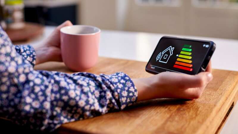 Household energy bills are expected to go up in April (stock image) (Image: Getty Images/iStockphoto)