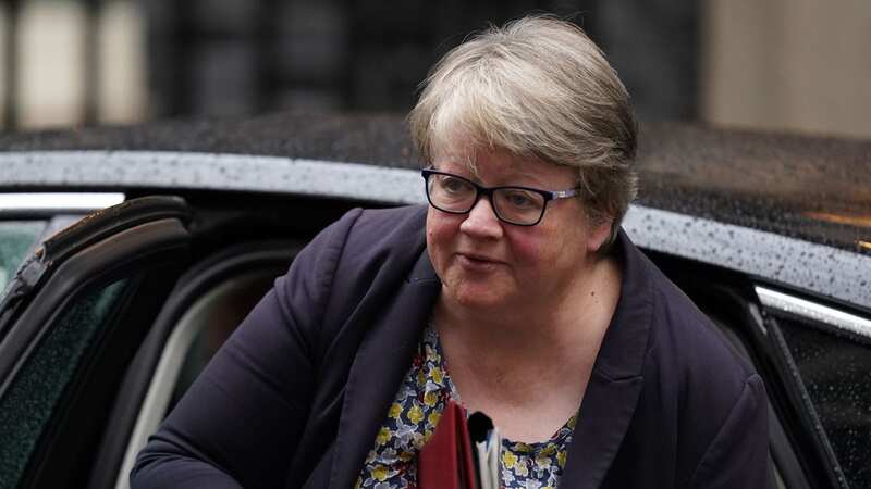 Tory Therese Coffey tells Brits to 