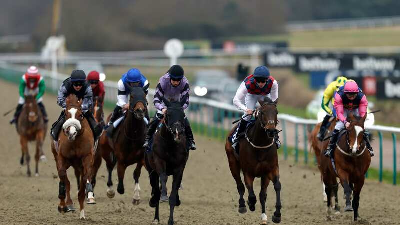 Newsboy’s racing tips for Friday’s four meetings, including Lingfield Nap