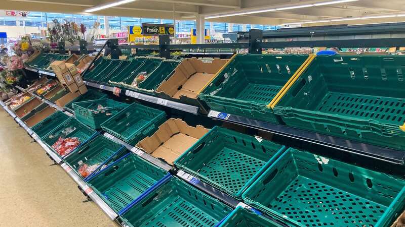 Fruit and veg shortages could last until May as supermarkets ration stock