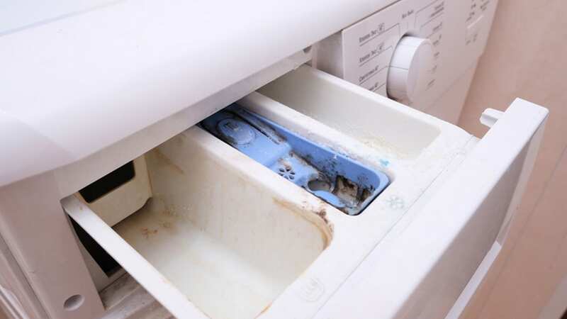 Mould can build up in the drawer due to its damp environment (Image: Getty Images/iStockphoto)